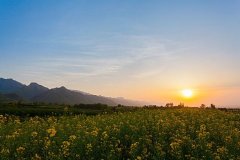 鼓浪屿——情侣旅游的最佳选择