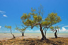 都江堰旅游适合几月份去？